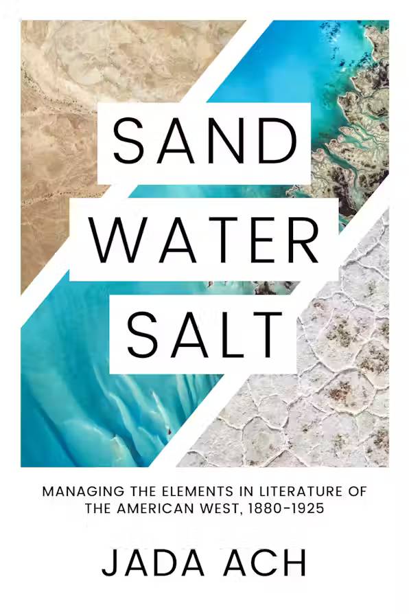 Sand, Water, Salt book cover